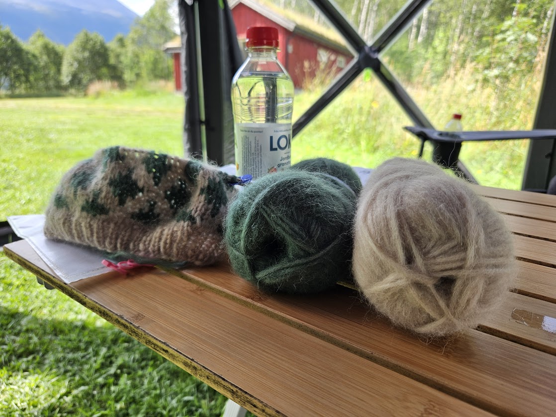 Elin venter i camp mens bilen er på verksted